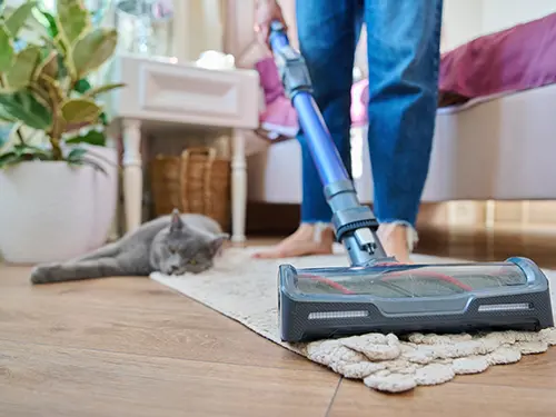 ペット（犬・猫）がいると内装に傷がつきやすい場所と原因