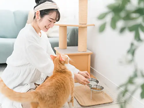 【場所別】自分でできる！内装のペット傷対策とおすすめグッズ