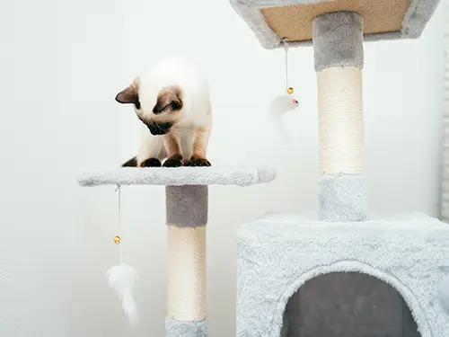 【賃貸物件向け】退去費用（原状回復）を抑える傷防止のポイント